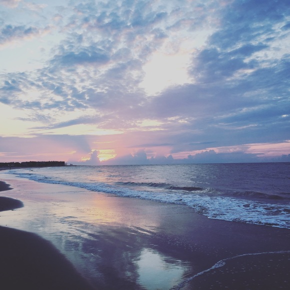 Meet your Posher, Macy - Picture 3 of 3